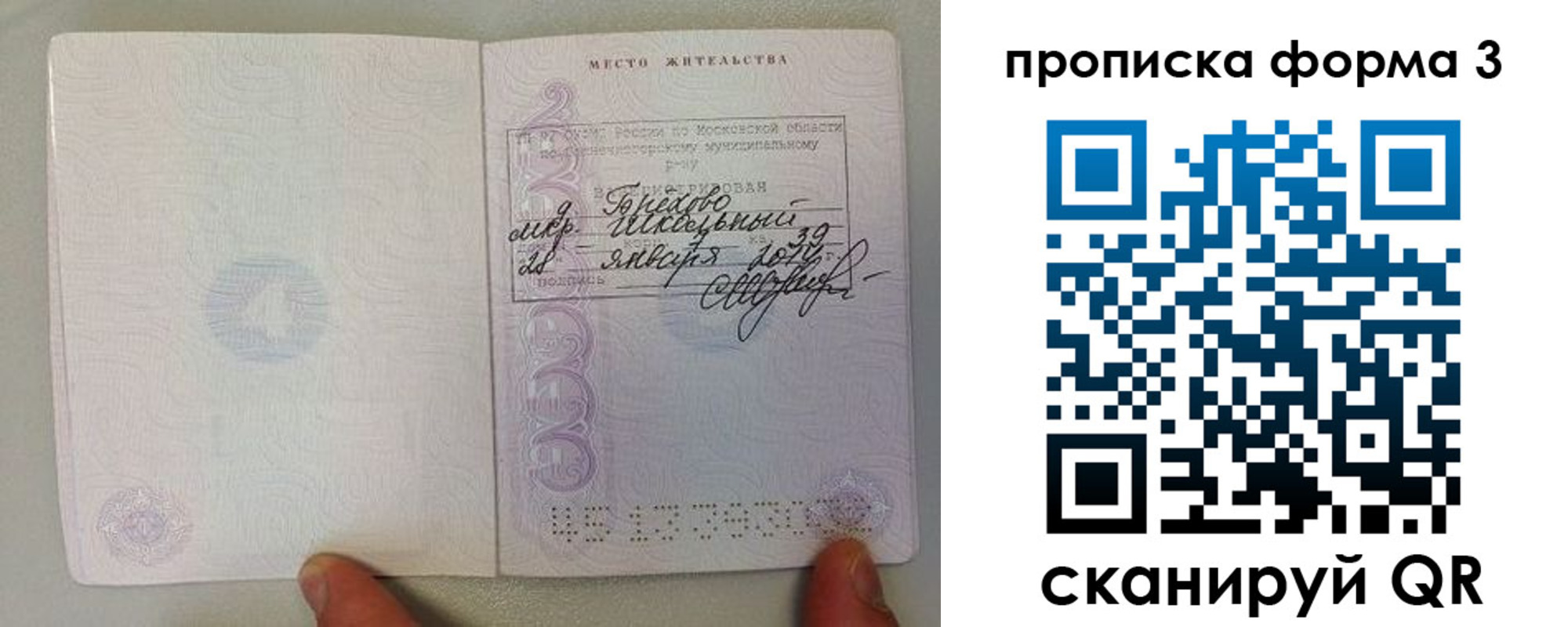прописка гарантия в Алексеевке